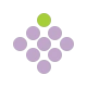 Boxberry
