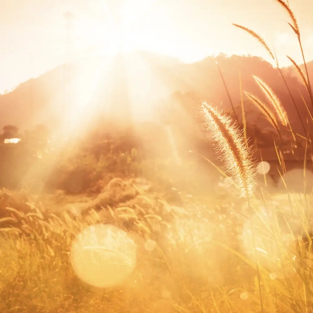 sunwashed-web_result.jpg